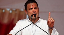congress new leader rahul gandhi