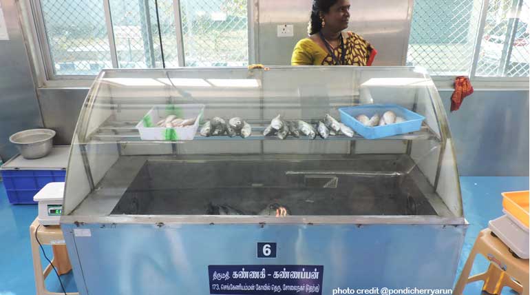 Sales person fish freezerbox, photo credit @pondicherryarun