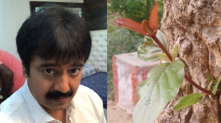 நடிகர் விவேக், தன்னுடைய டிவிட்டர் பதிவின் மூலமாக 100 வருட பழமையான கடம்ப மரத்தை மீண்டும் துளிர் விட செய்துள்ளார். 
